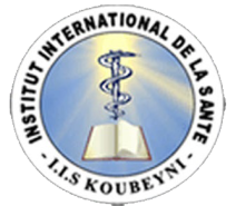 iis-niger.org